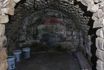 Casă cu 7 camere cu Teren 3141 Mp în Ploștina - 12