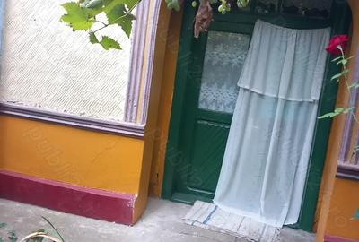 Casă cu 3 camere în Silistraru - 10