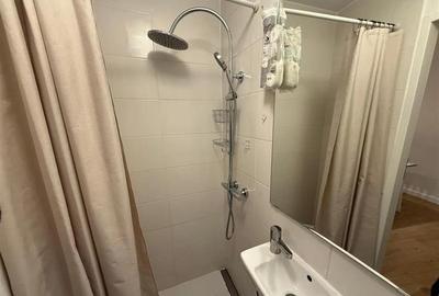 Studio in vila, Tepes Voda, Pet Friendly, 14 min Metrou - 8