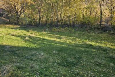 Teren de 949 mp, în Central - 5