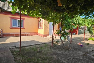 Vând 1420mp in Mihail Kogalniceanu constanta cu casa bătrânesca - 2