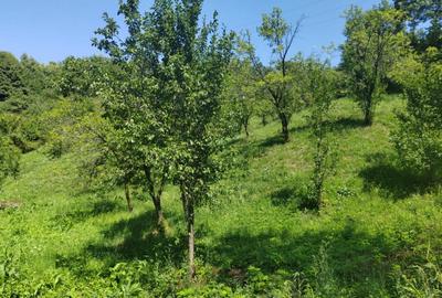 Teren de 1035 mp, în Central - 9