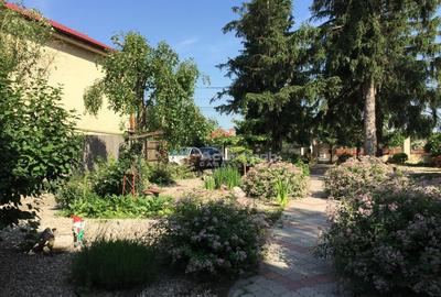 Vila 7 camere 234 mp - Clinceni / Str. Monumentul Eroilor - 9