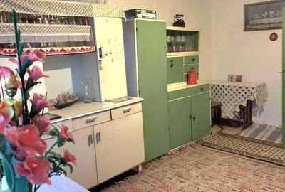 Vand casa batraneasca Sat Breznicioara Comuna Stangaceaua jude?ul Mehedin?i - 1