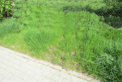 Spațiu comercial, în Vințu de Jos