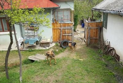Casă cu 3 camere în Vâlcea - 1