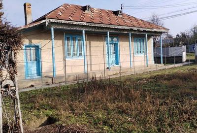 Casă cu 4 camere în Jijila - 7