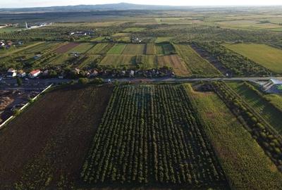 Teren INTRAVILAN 10,778mp Seini E 58 ideal/ activitati economice - 5