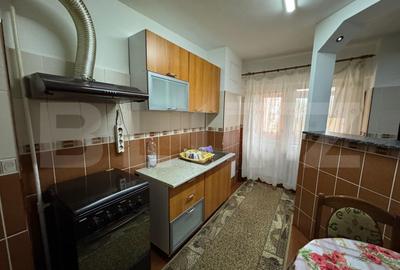 Apartament de inchiriat, decomandat, Lapus - 7