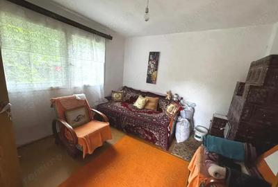 Casa solida de vanzare in Bordenii Mari - 8