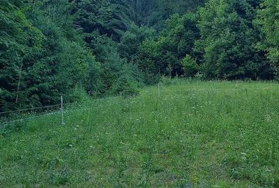 Teren de 9280 mp, în Scărișoara - 1