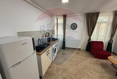 Apartament cu 2 camere de inchiriat in zona Plevnei - 6