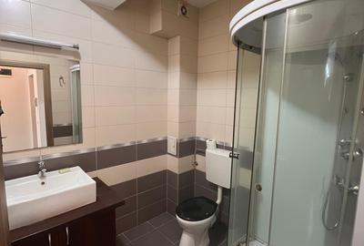 Apartament cu 2 camere semidecomandat, mobilat în Șelimbăr - 6