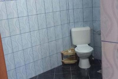 Coiciu, Baba Novac, etaj 1 si 2, nemobilat, gaze, inchirieri - 7