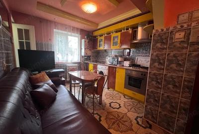 Apartament cu 2 camere semidecomandat în Gojdu - 2
