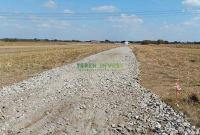 Teren de 10800 mp, în Frumușani - 4