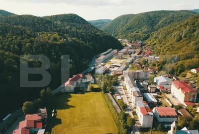 Proprietate de cazare, spatii comerciale, Lugoj - 3