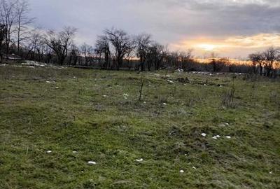 Teren de 1683 mp, în Stănești - 3