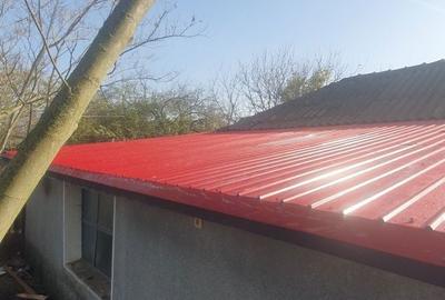Casă cu 3 camere în General Scărișoreanu - 6