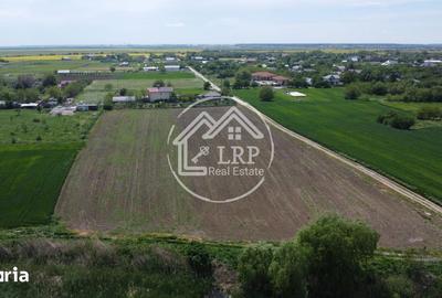 Teren de 10400 mp, în Dascălu - 12