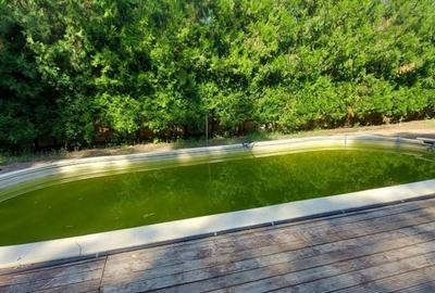 Vanzare - Vila individuala | 5 camere | Piscina | Padure | Corbeanca Vanzare - Vila individuala | 5 camere | Piscina | Padure | Corbeanca - 12