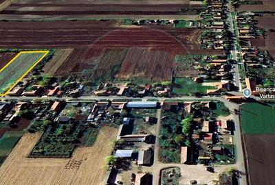 Teren de 5018 mp, în Variașu Mare - 4