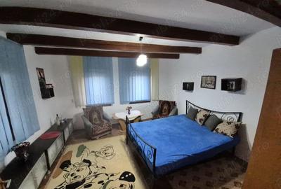 Vand casa la Dumbrava unirea Alba - 9