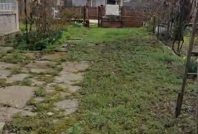 Casă cu 2 camere în Crivina - 4