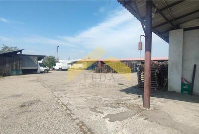 Hale de vanzare in localitatea Sebis, Arad - 3