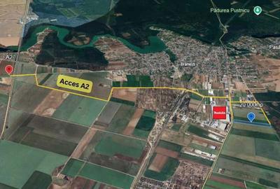 Teren de 20000 mp, în Brănești - 1