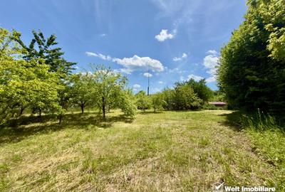 Teren agricol intravilan de 1051 mp, în Borhanci - 4