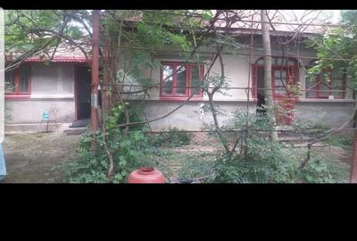 Casă cu 6 camere cu Teren 4000 Mp în Petrești - 1