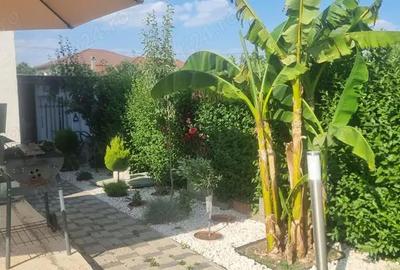 Casă cu 3 camere cu Teren 300 Mp în Dumbrăvița - 6