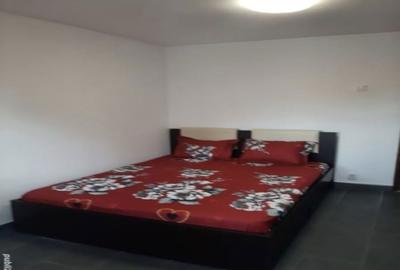 Apartament cu 3 camere decomandat în Lacu - 8