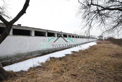 Spațiu comercial, de 20,000 mp, în Semlac - 7