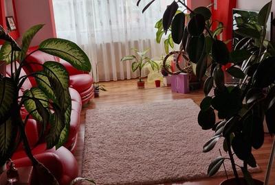 Apartament cu 3 camere decomandat în Central - 4