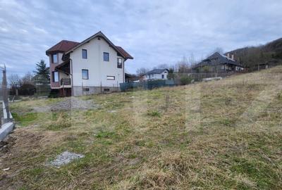 Teren 732 mp Intravilan in Sangeorgiu de Mures - 1