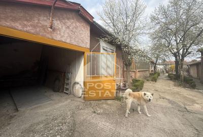 Casă cu 4 camere cu Canalizare în Iosefin - 8