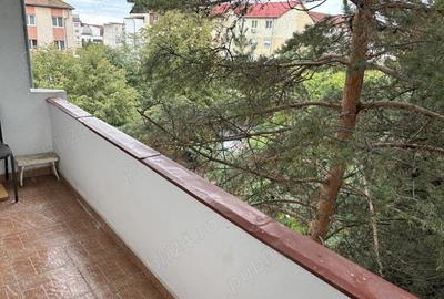 Apartament ingrijit cu Brazi la balcon - 3
