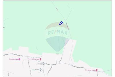 Teren agricol extravilan de 1338 mp, în Paleu - 3