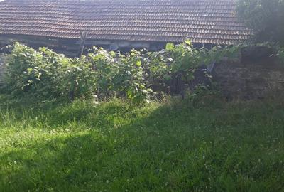 Casă cu 2 camere cu Teren 9050 Mp în Crasna - 2