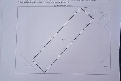 Teren de 1300 mp, în Snagov