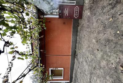 Casă cu 5 camere în Picleu - 3