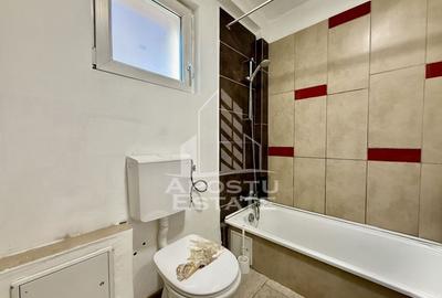 Casa individuala, 3 camere, teren 354mp, zona Crisan - 19