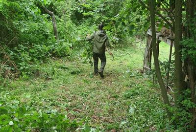 Spațiu comercial, în Măldărești - 4