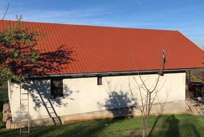 Casă cu 2 camere cu Teren 7500 Mp în Sulighete - 9