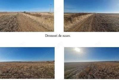 Teren de 4800 mp, în Grădinari - 6