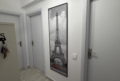 Apartament cu 2 camere decomandat, mobilat în Theodor Pallady - 6