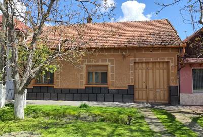 Vand casa Nadlac 4 camere suprafa?a totala 382 M2.