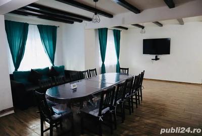 Casa de vacanta Rau Sadului - 4